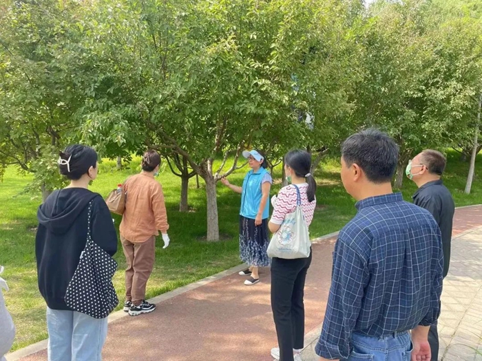 香港铁算一码大公开