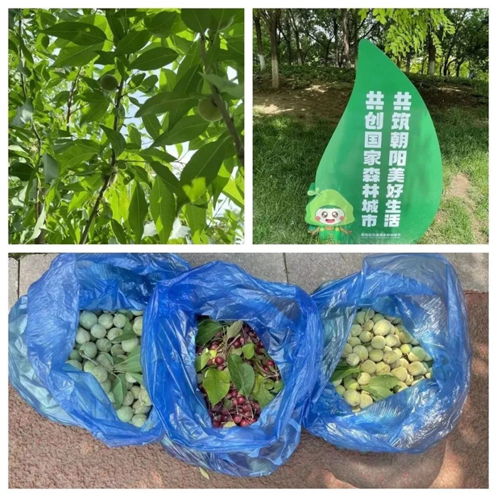 香港铁算一码大公开